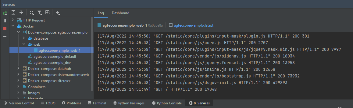 Visualizando os logs